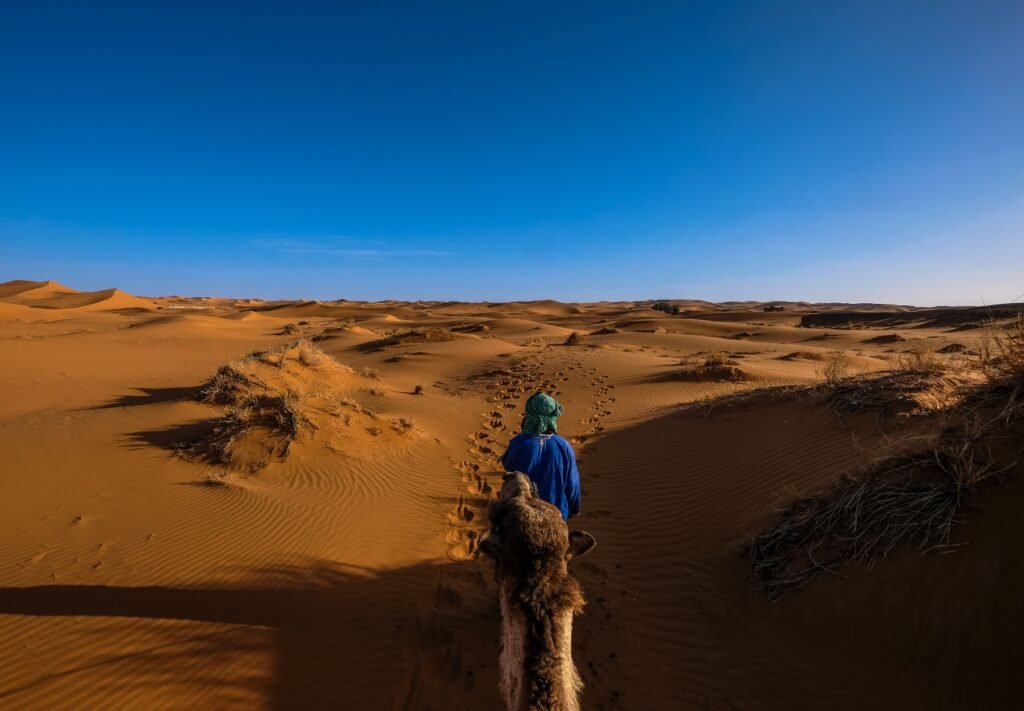 The Historical Legacy of the Sahara