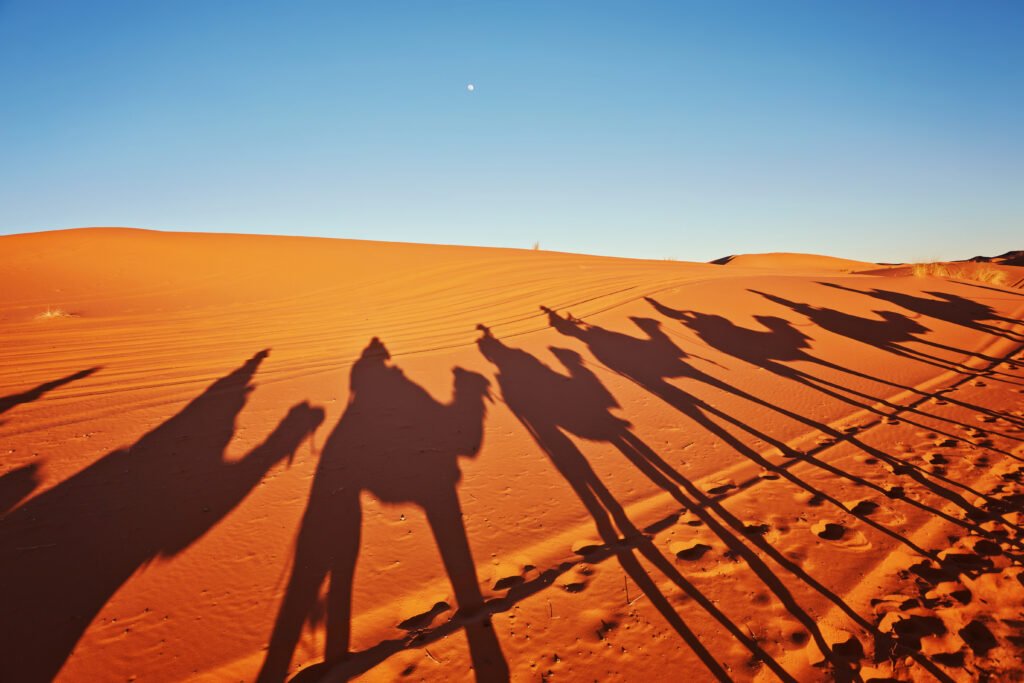 Sahara tours in Mauritania