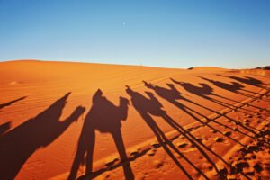 Sahara tours in Mauritania